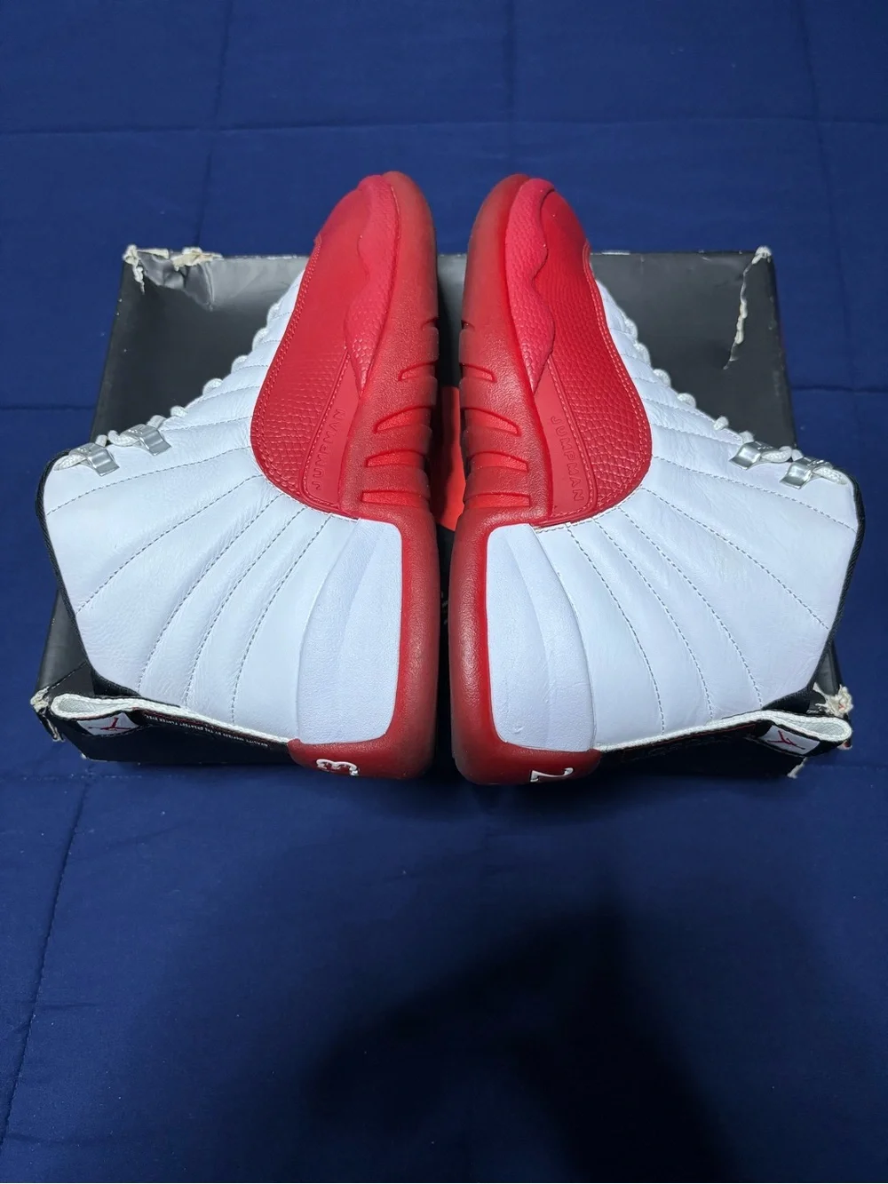 Jordan 12 retro